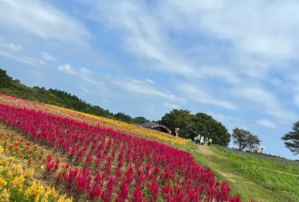 那須フラワーワールド