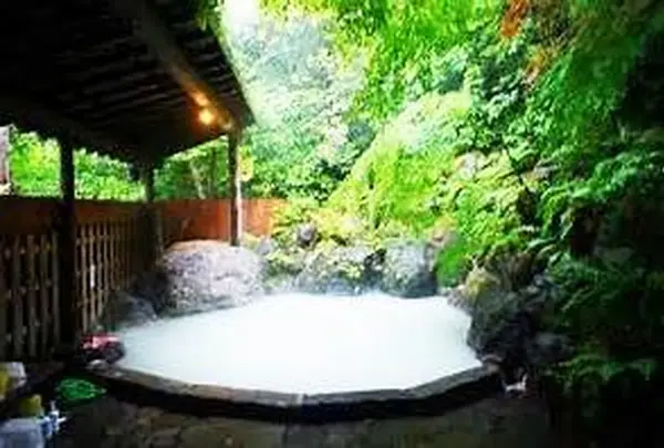 夢幻の里・春夏秋冬の写真・動画_image_143801