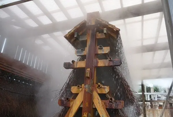 湯雨竹