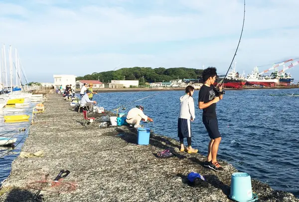 自衛隊堤防の写真・動画_image_143979