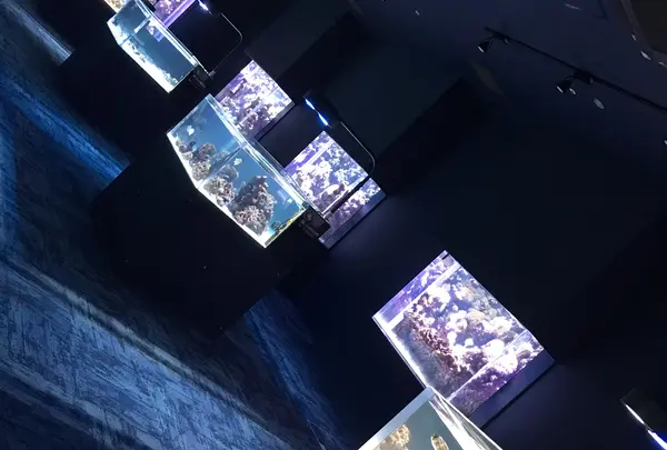 DMMかりゆし水族館