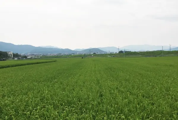 トロッコ亀岡駅観光案内所の写真・動画_image_144252