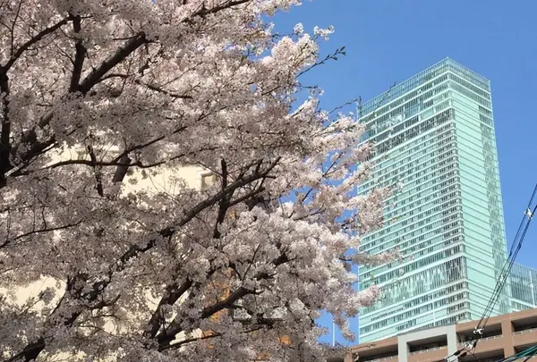 ハルカス300 展望台