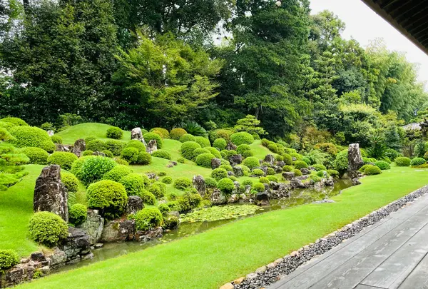 龍潭寺の写真・動画_image_1445164