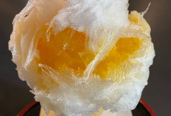 朱雀の写真・動画_image_1445234