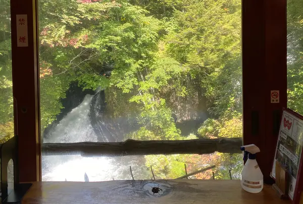 竜頭之茶屋の写真・動画_image_1447858