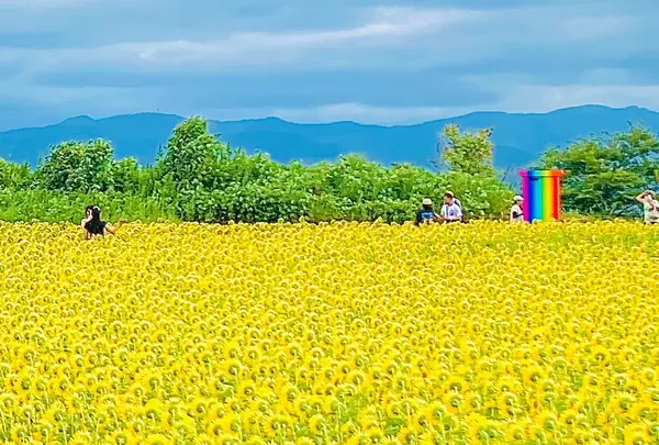 あわら夢ぐるま公園