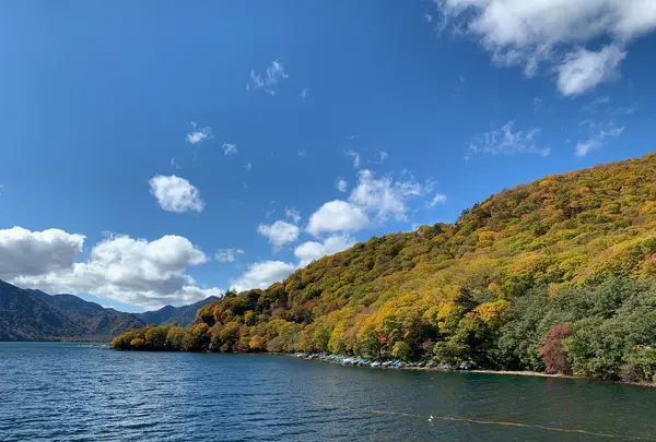 中禅寺湖の写真・動画_image_1448657
