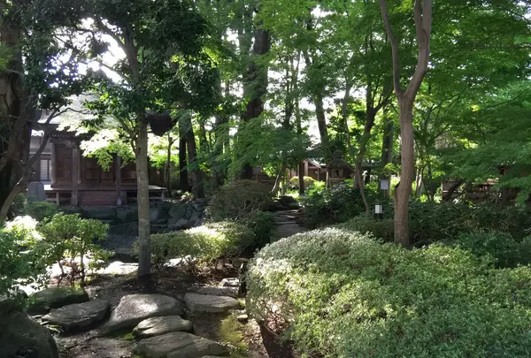 屋台のまち中央公園・菊翠園