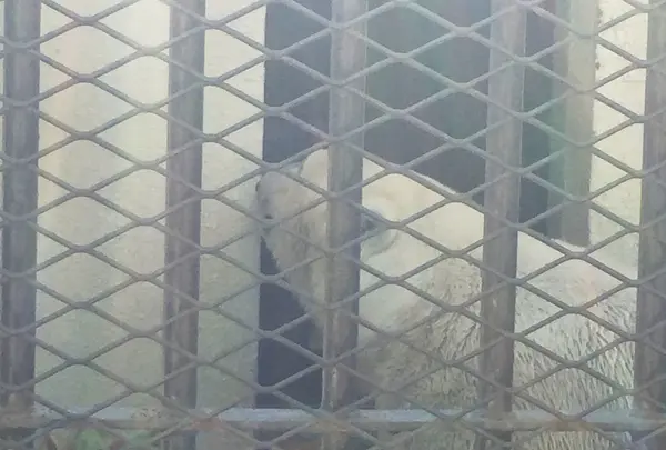 姫路市立動物園の写真・動画_image_144945