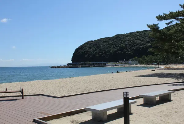 大浜公園