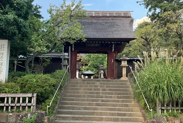 深大寺の写真・動画_image_1452372