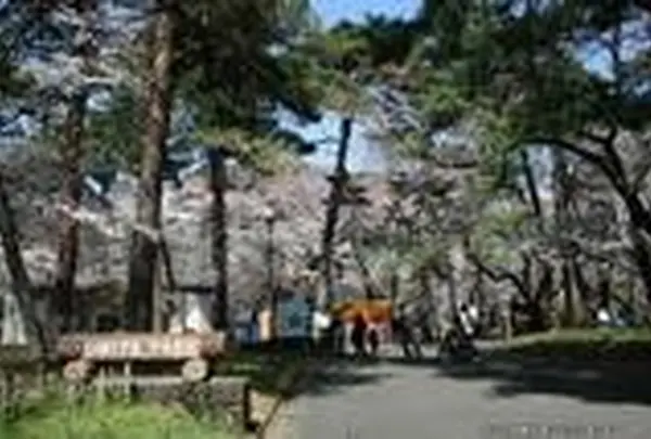 大宮公園
