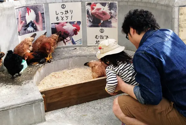 野毛山動物園 ふれあいコーナー