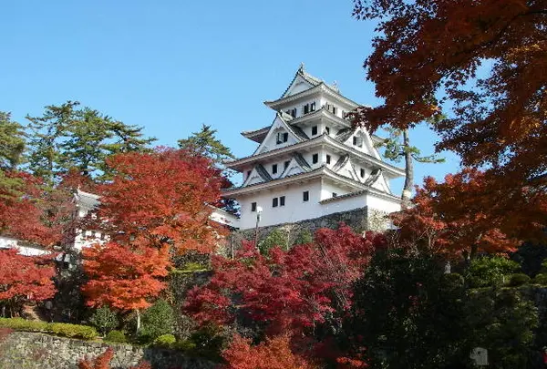 郡上八幡城