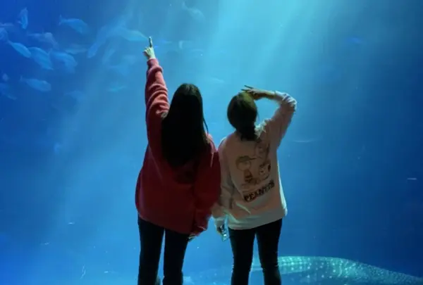 のとじま水族館