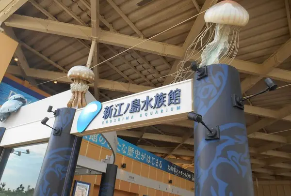 新江ノ島水族館の写真・動画_image_1474218