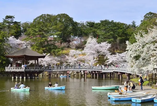 奈良公園 浮見堂