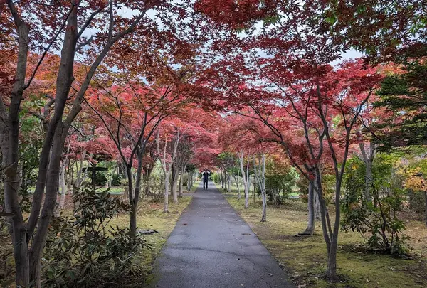 平岡樹芸センター みどりーむ