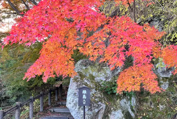 雄島の写真・動画_image_1490641