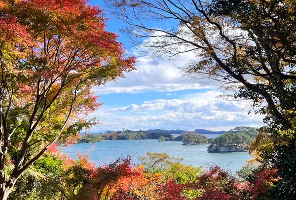 福浦島の写真・動画_image_1490642