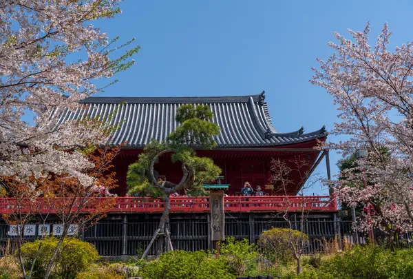 清水観音堂の写真・動画_image_1496522