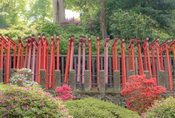 根津神社の写真・動画_image_1496527