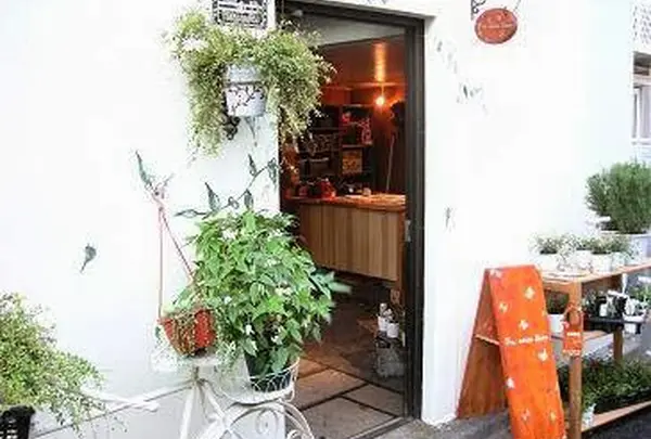 Fra cotta Deco (フラコッタ デコ)