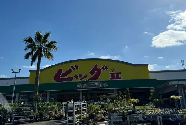 ビッグツー奄美店