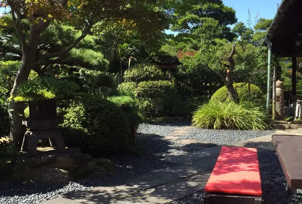 うどん本陣 山田家 讃岐本店の写真・動画_image_150364