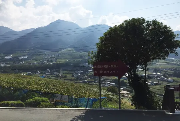 甲州市勝沼ぶどうの丘の写真・動画_image_150664
