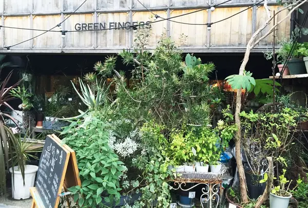 GREEN FINGERS
