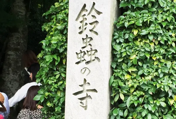 鈴虫寺（華厳寺）の写真・動画_image_151071