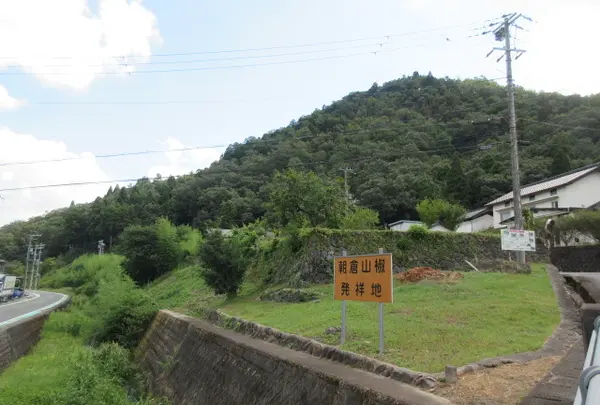 朝来山椒発祥地の写真・動画_image_1511467