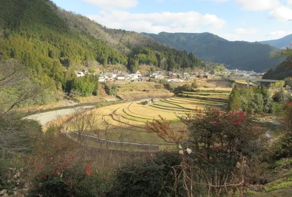 あらぎ島