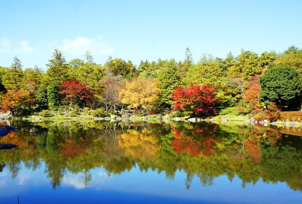 国営昭和記念公園