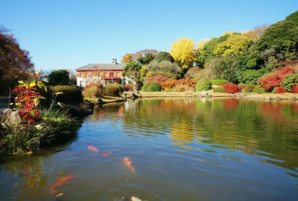 小石川植物園