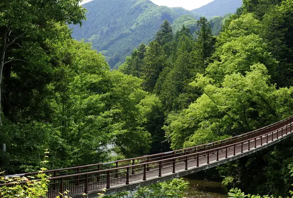 秋川渓谷瀬音の湯
