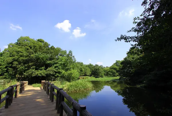 石神井公園