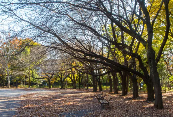 都立林試の森公園