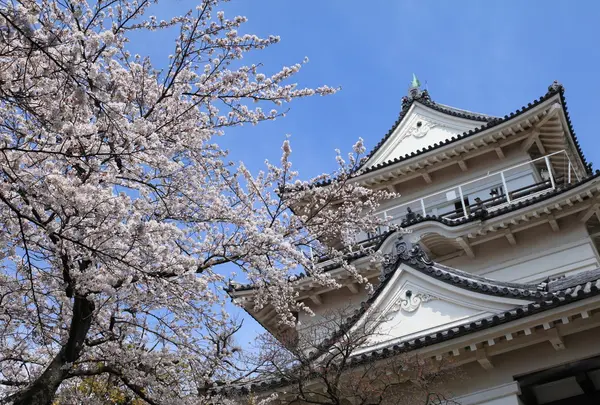 小田原城