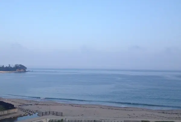 大谷海岸の写真・動画_image_152014