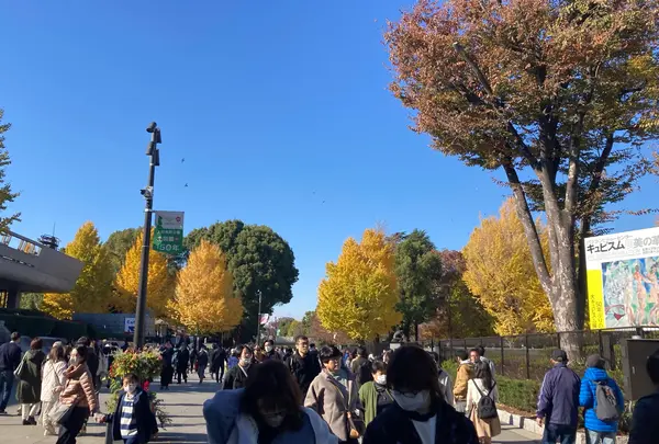 上野恩賜公園（上野公園）の写真・動画_image_1520713