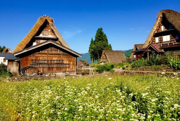 五箇山合掌の里の写真・動画_image_152200