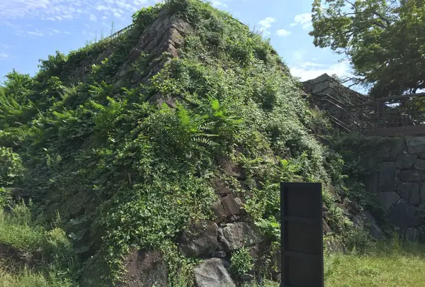 福岡城跡の写真・動画_image_152422
