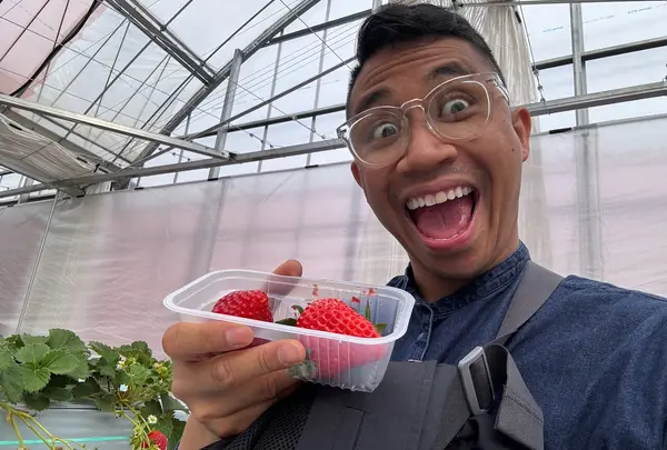 ABC FARM