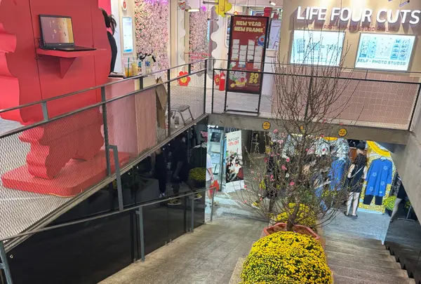 The New Playgroundの写真・動画_image_1527720