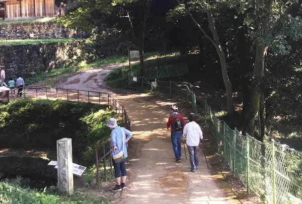 金山城址の写真・動画_image_152773