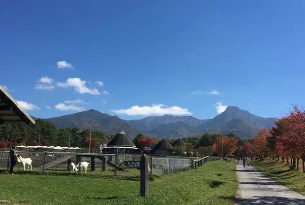 八ヶ岳中央農業実践大学校　直売所