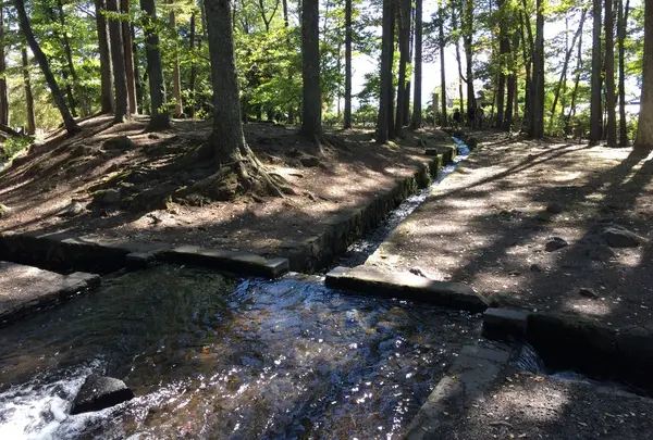 名水「三分一湧水」